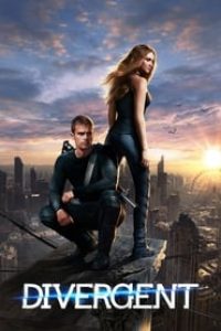 Download Divergent (2014) Dual Audio {Hindi-English} 480p [470MB] || 720p [1.2GB] || 1080p [2.9GB]