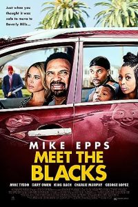 Download Meet the Blacks (2016) [HINDI Dubbed & ENGLISH] BluRay 480p [340MB] || 720p [770MB] || 1080p [1.7GB]