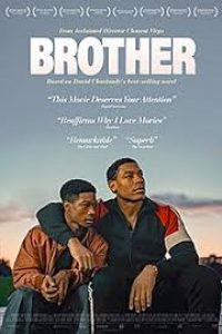 Download Brothers (2022) Dual Audio (Hindi-Chinese) 480p [310MB] || 720p [783MB] || 1080p [2.4GB]