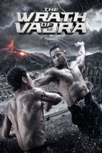 Download The Wrath of Vajra (2013) [Chinese] BluRay 720p [1GB]