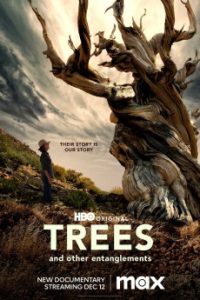 Download Trees, and Other Entanglements (2023) [English] WebRip 720p [1GB] || 1080p [2.1GB]