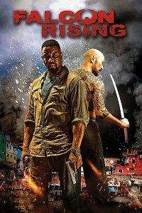 Download Falcon Rising (2014) Dual Audio (Hindi-English) 480p [323MB] || 720p [771MB]