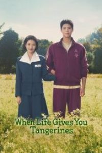 Download When Life Gives You Tangerines (Season 1) [S01E04 Added] {Hindi-Korean} WeB-DL 480p [210MB] || 720p [370MB] || 1080p [1.4GB]