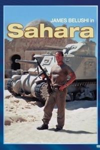 Download Sahara (1995) Dual Audio [HINDI & ENGLISH] WEB-DL 480p [369MB] || 720p [931MB] || 1080p [1.8GB]